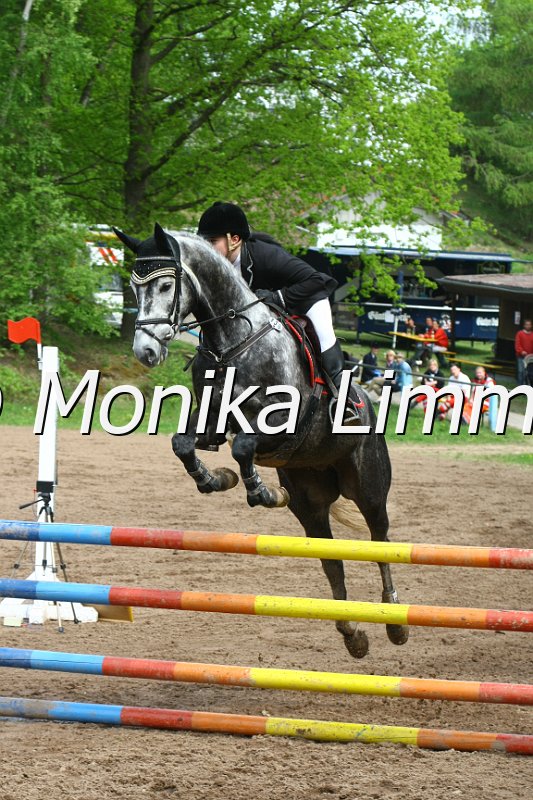 104M3655_Gucci Boy_Springpf L.JPG